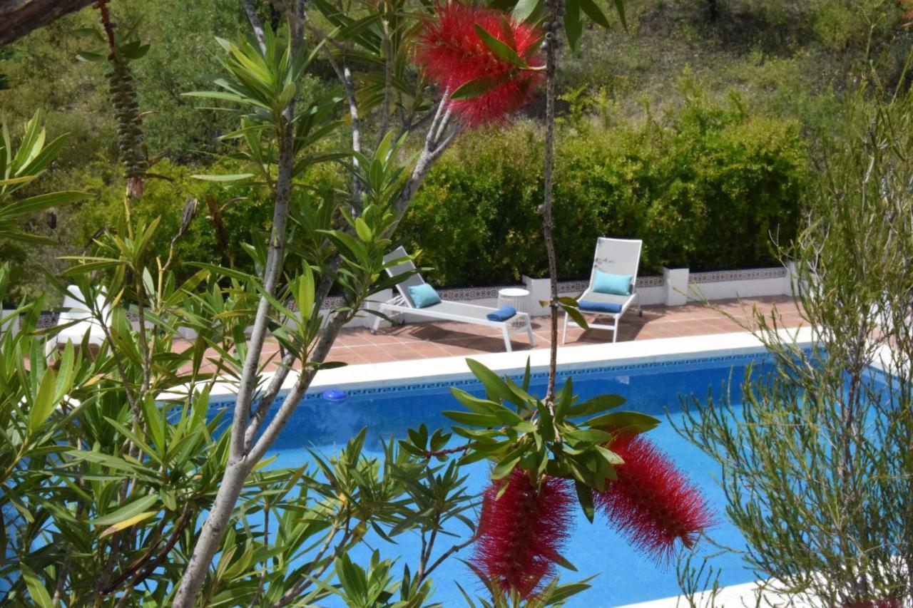 B&B And Apartments Cortijo La Zapatera Canillas de Aceituno Dış mekan fotoğraf
