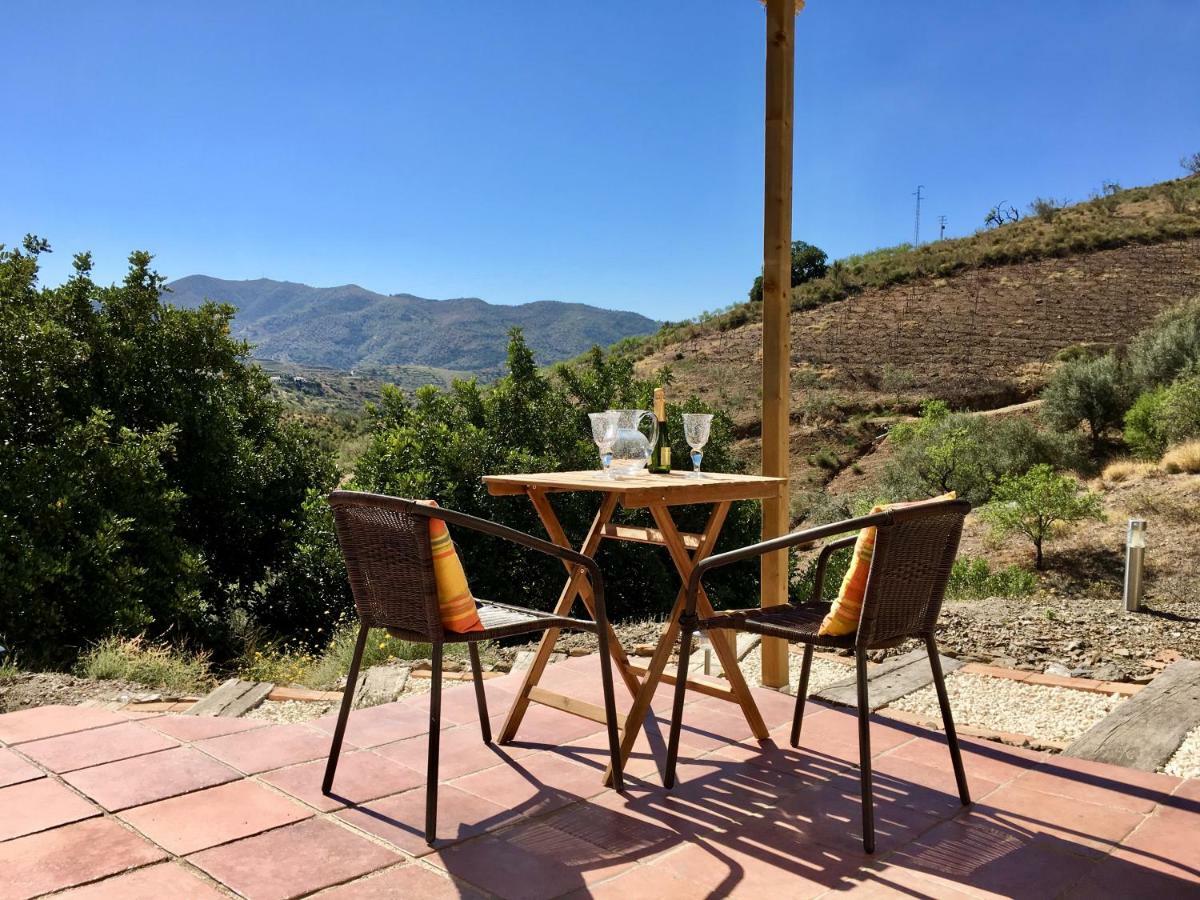 B&B And Apartments Cortijo La Zapatera Canillas de Aceituno Dış mekan fotoğraf